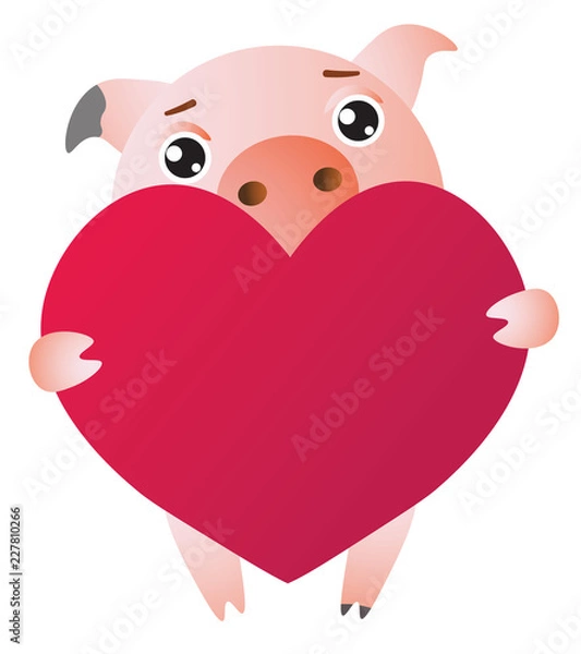 Fototapeta Cute cartoon pig with red large heart. Vector illustration of symbol of the new year 2019 Isolated on transparent background. Excellent for the design of postcards, posters, stickers etc.  