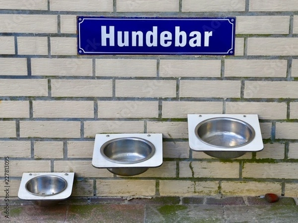 Fototapeta Hundebar