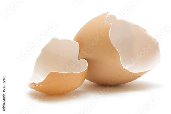 Fototapeta 卵殻