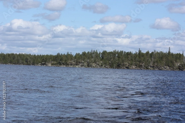 Obraz Лес и озеро под облачным небом.