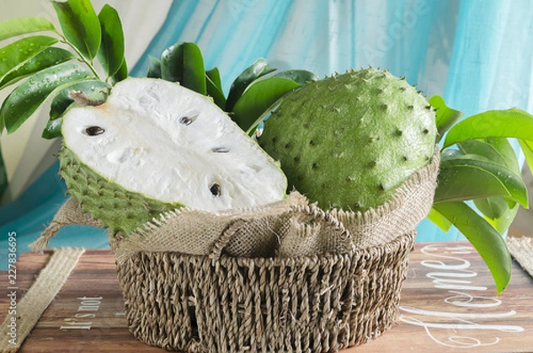 Obraz Soursop (also graviola, guyabano, and in Latin America, guanábana) is the fruit of Annona muricata, a broadleaf, flowering, evergreen tree