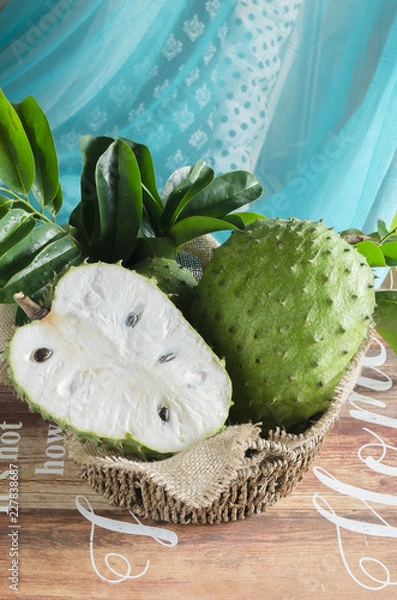 Obraz Soursop (also graviola, guyabano, and in Latin America, guanábana) is the fruit of Annona muricata, a broadleaf, flowering, evergreen tree