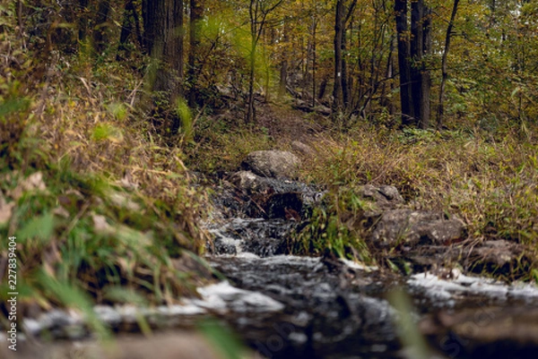 Fototapeta Stream Near Hiking Trail