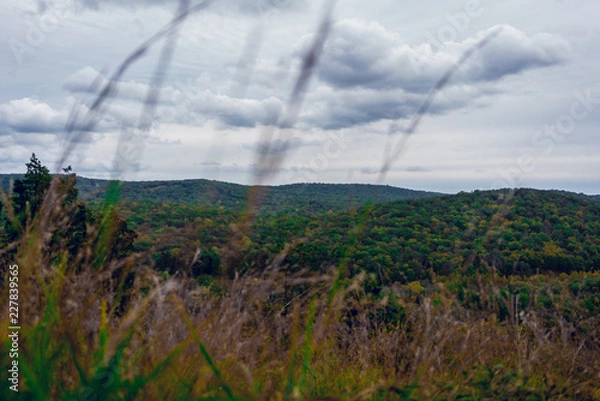 Fototapeta Cloudy Forest Mountains