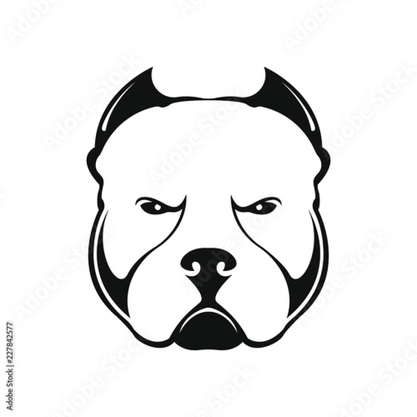 Obraz American bully dog logo on white background. Black and white portrait of a dog. Vector.