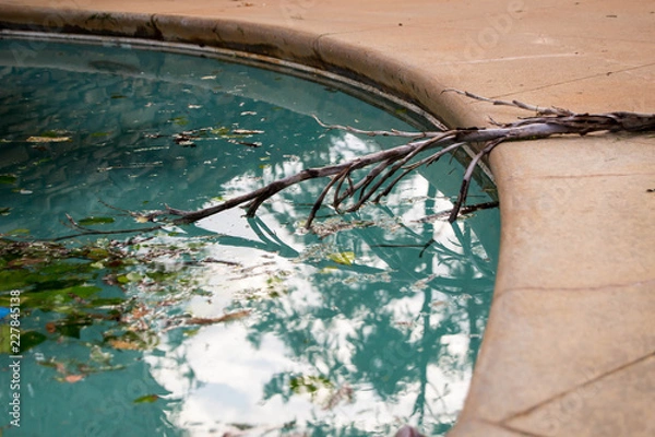 Obraz Debris in pool after hurricane Michael
