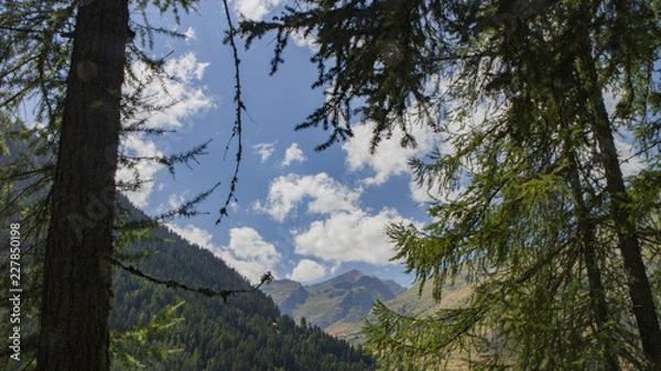 Obraz La Thuile on the  mountains