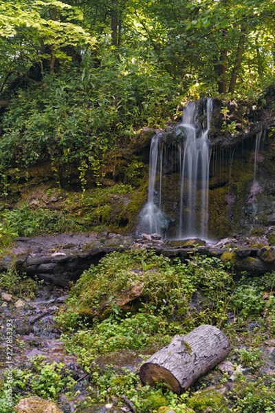 Obraz waterfall in forest