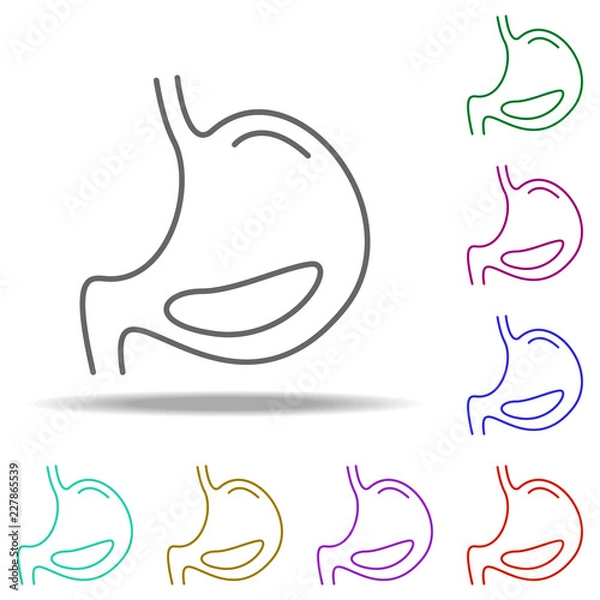 Obraz stomach line icon. Elements of Medicine in multi color style icons. Simple icon for websites, web design, mobile app, info graphics