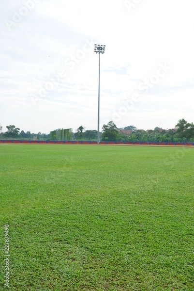 Obraz Artificial track and field with green grass combined with artificial grass