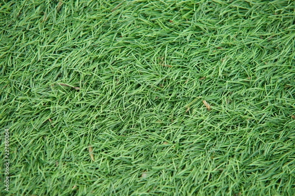 Obraz Artificial green grass close up macro