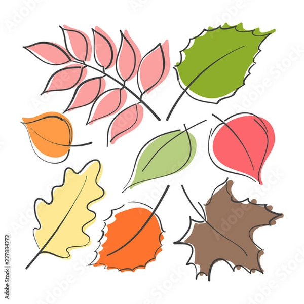 Obraz Colorful autumn leaves set. Fall concept decoration. Hand drawn illustration vector.