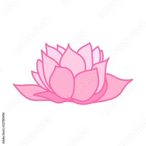 Obraz Pink water lily flower. Cute hand drawn illustration vector.