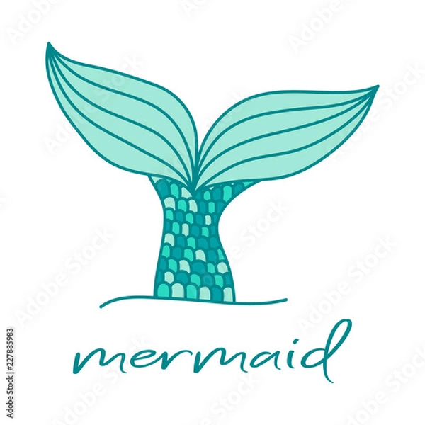 Obraz Cute mermaid tail and writing. Hand drawn illustration vector.