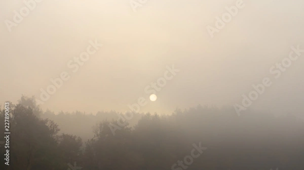 Obraz OLYMPUS DIGITAL CAMERA