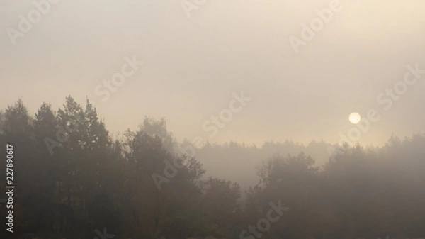 Obraz OLYMPUS DIGITAL CAMERA