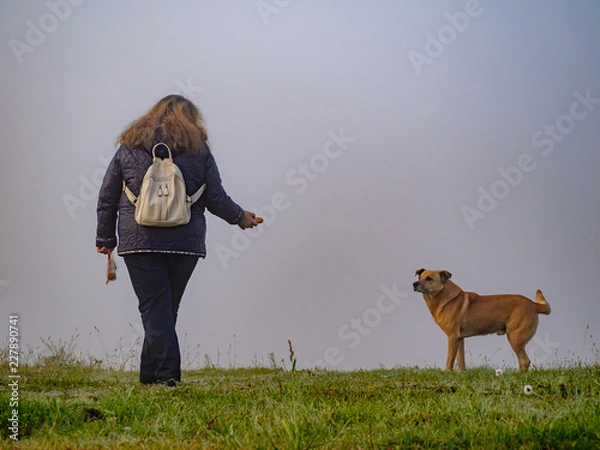 Obraz OLYMPUS DIGITAL CAMERA