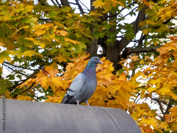 Obraz OLYMPUS DIGITAL CAMERA