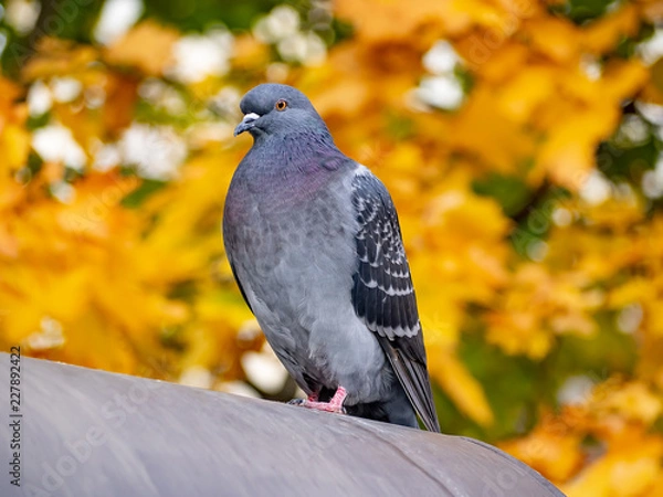 Obraz OLYMPUS DIGITAL CAMERA