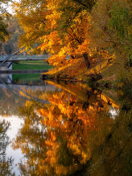 Obraz OLYMPUS DIGITAL CAMERA