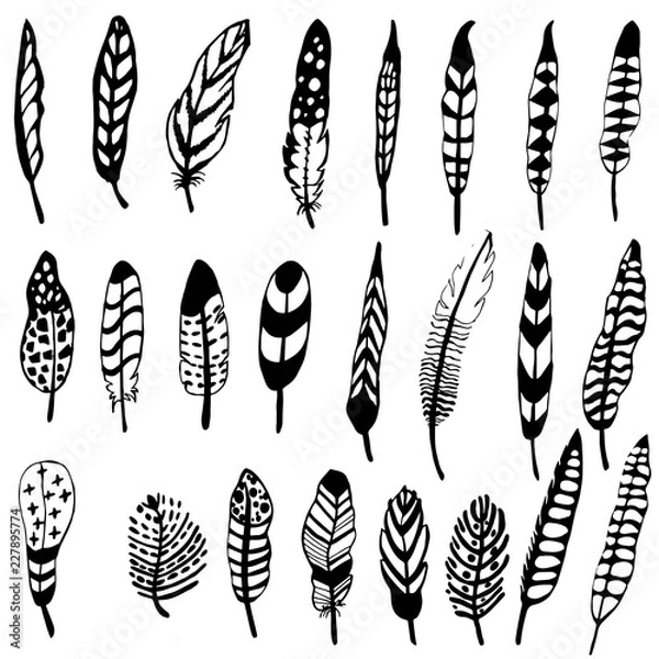 Fototapeta Graphics hand feather isolated on white background