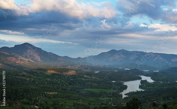 Obraz Tea Plantations in the hills