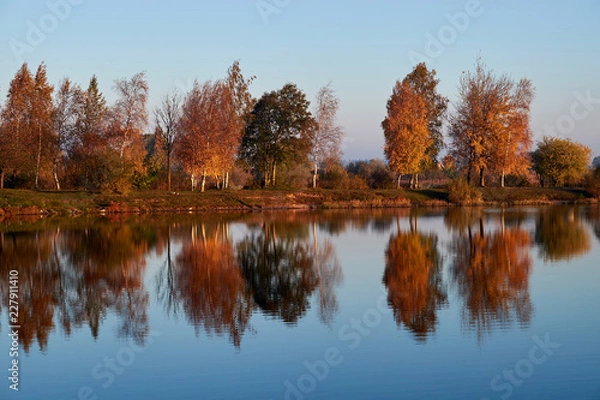 Fototapeta Autumn trees reflect the lake.