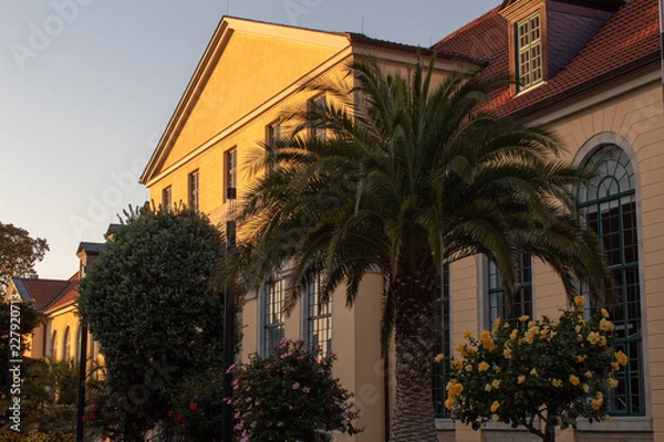 Obraz Blütenzauber Hannover