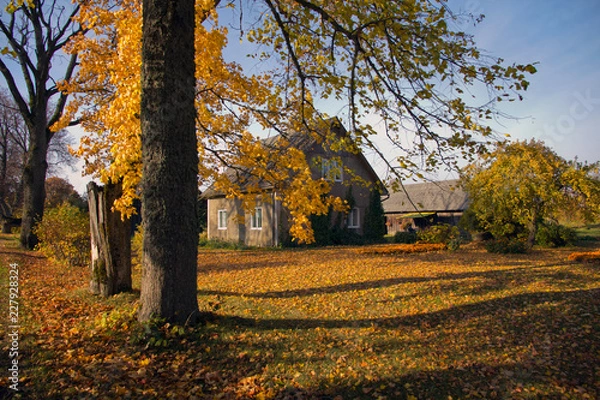 Obraz Colourful autumn landscape with the house
