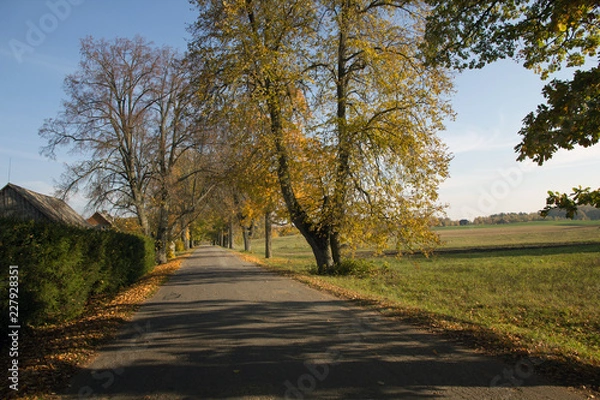 Obraz Rural autumn landscape
