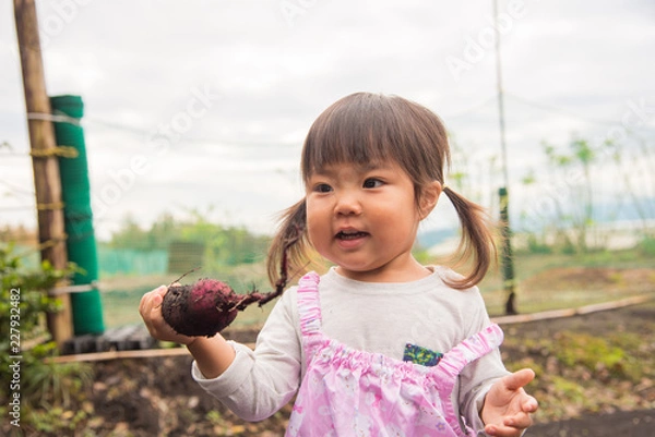 Obraz 芋掘りをする子供