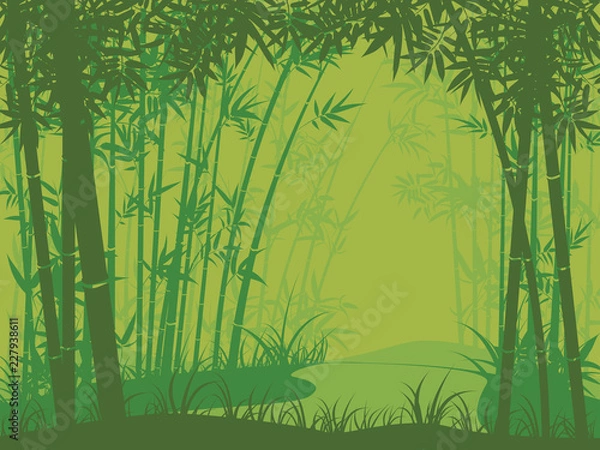 Obraz Bamboo forest scene
