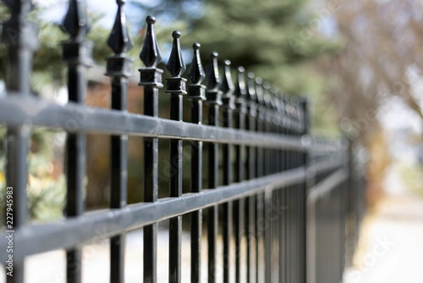 Obraz Black iron fence closeup