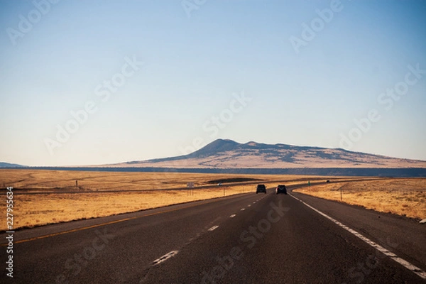 Obraz road in desert