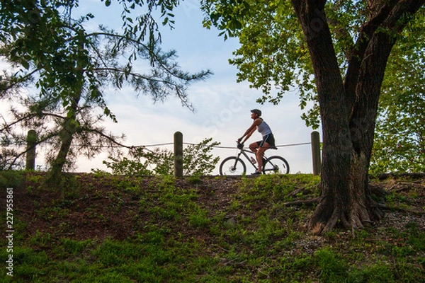 Obraz Riding Bicycle