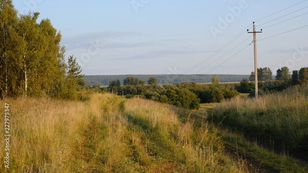 Obraz road in the field