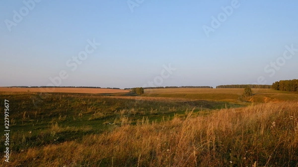 Obraz sunset over green field