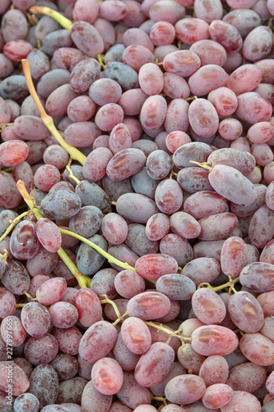 Obraz Red wine grapes background