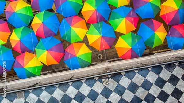 Fototapeta En el paseo