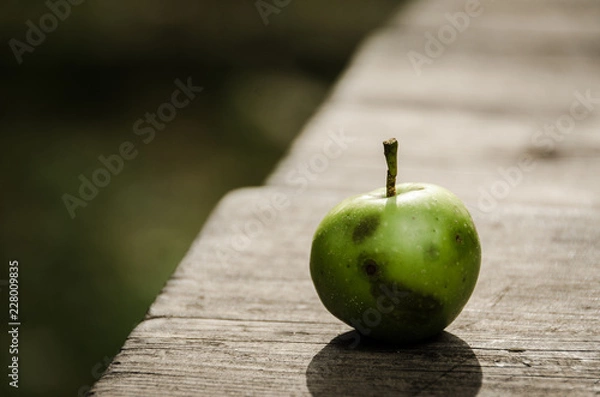Obraz Close-up of an apple with black spots
