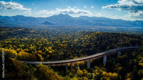 Obraz 三国峠の紅葉