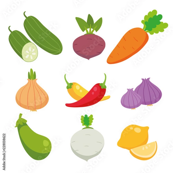 Obraz vegetable vector collection design