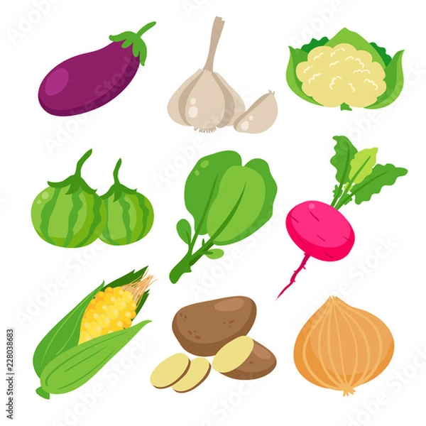 Obraz vegetable vector collection design