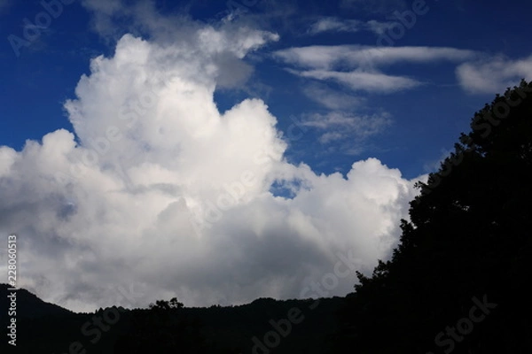 Fototapeta 夏の志賀高原