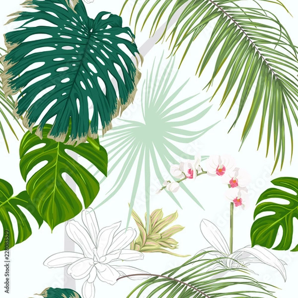 Fototapeta Seamless pattern, background. with tropical plants and flowers.
