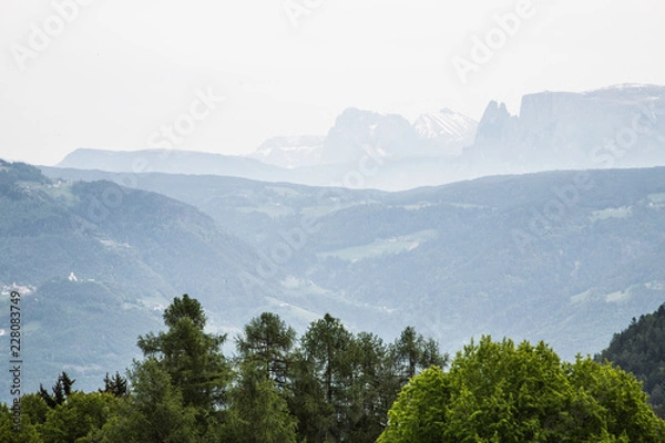 Obraz trees in front of scenic mountainscape near Meran