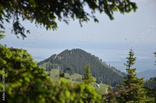 Fototapeta Sunny mountain view of the European Alps through conifer trees