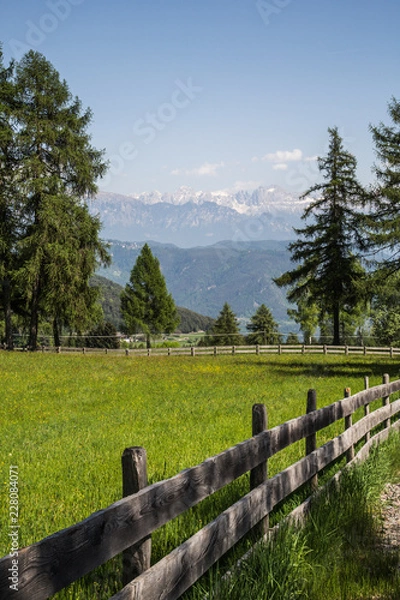 Obraz alpine landscape with wooden fence and trees