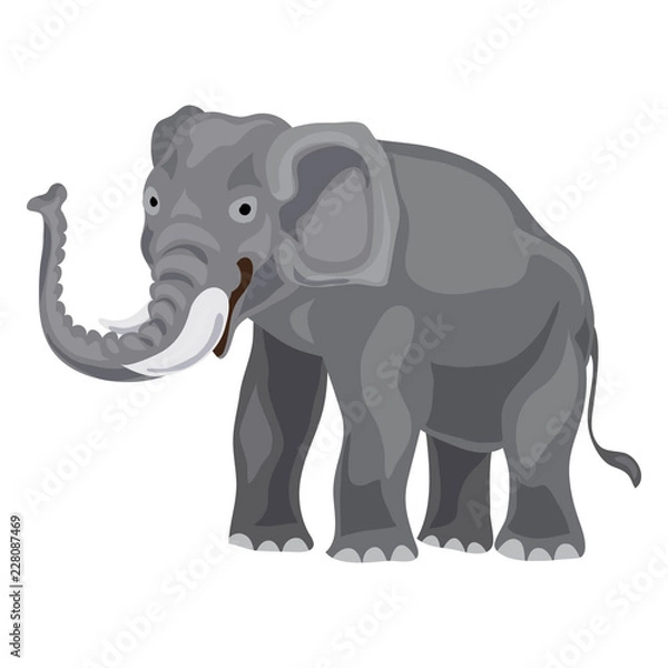 Obraz Elephant icon. Cartoon of elephant vector icon for web design isolated on white background