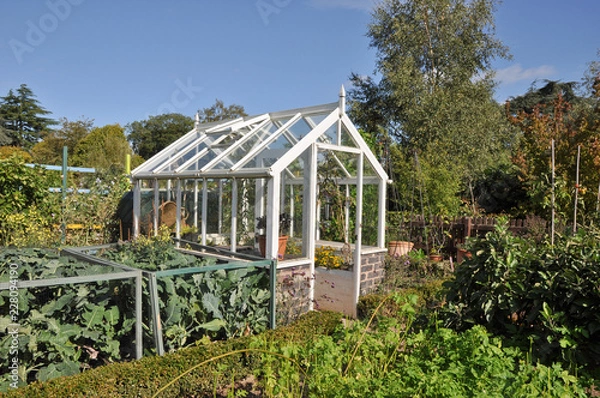Fototapeta Perfect small greenhouse takes pride of place in English garden.